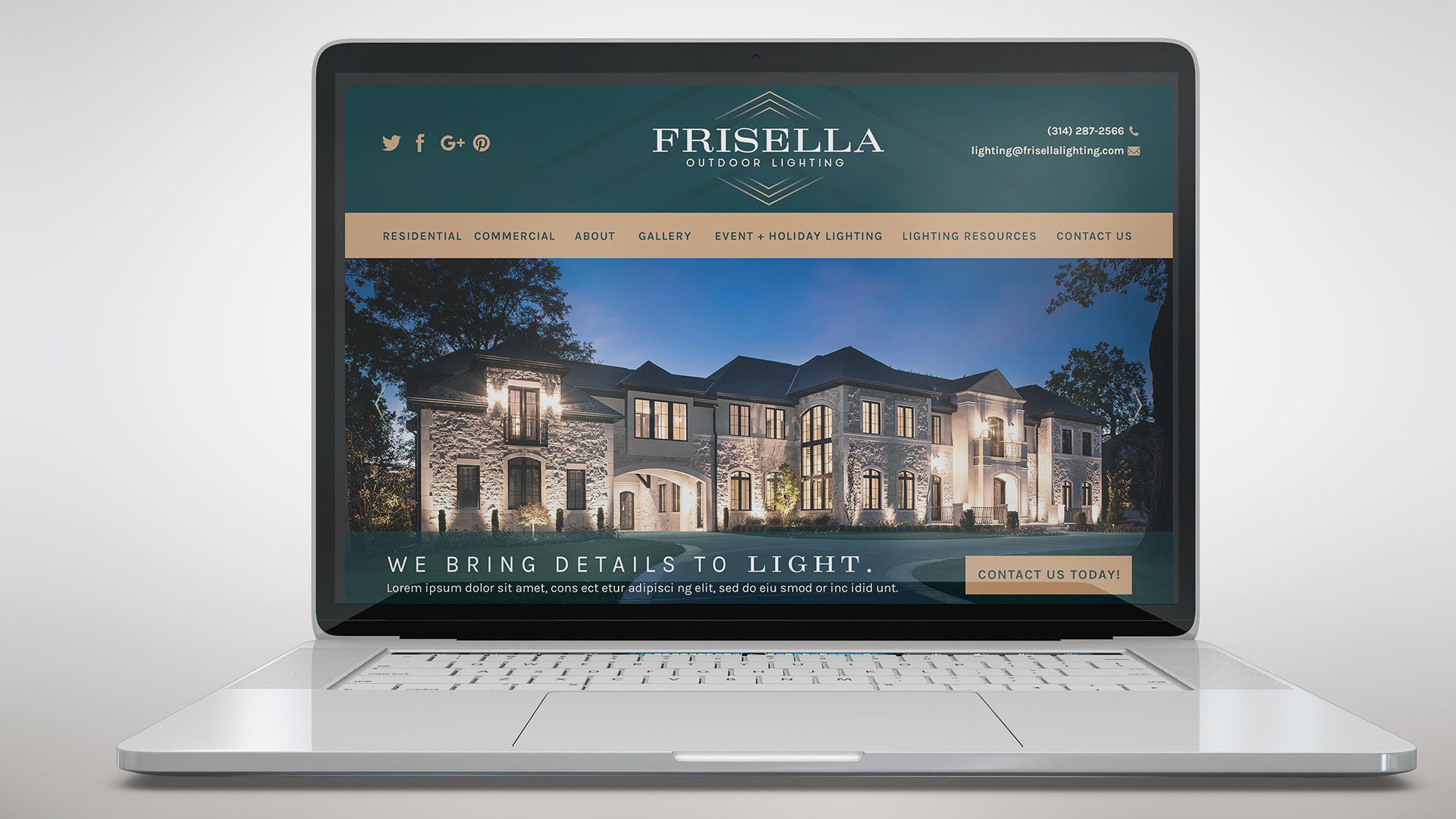 Services Daley Design Website Design Development